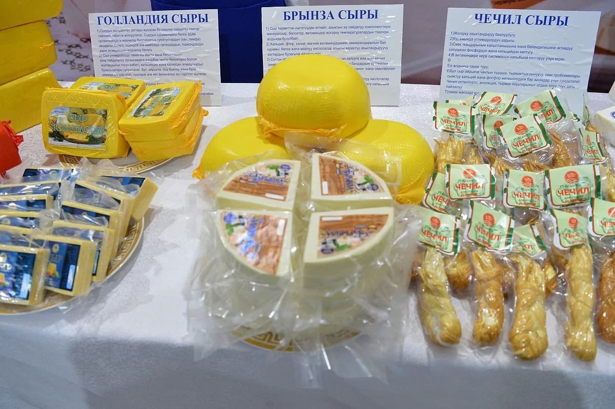 «Կարակոլ-Սուտ» կաթնամթերքի գործարանի արդիականացում